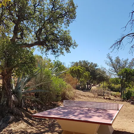 Résidence Les Toits De Santa Giulia