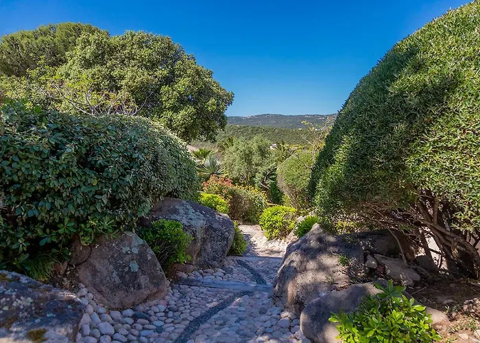Résidence Les Toits De Santa Giulia