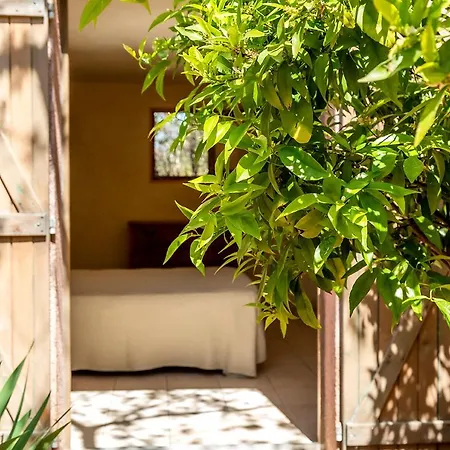 Résidence Les Toits De Santa Giulia 4* Porto Vecchio