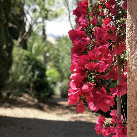 Résidence Les Toits De Santa Giulia Villa