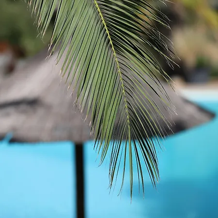 Résidence Les Toits De Santa Giulia