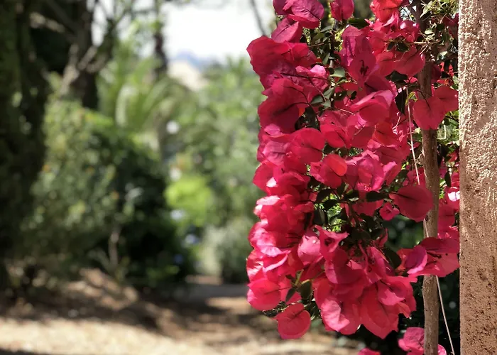 Les Toits De Santa Giulia Aparthotel