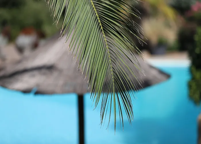 Les Toits De Santa Giulia